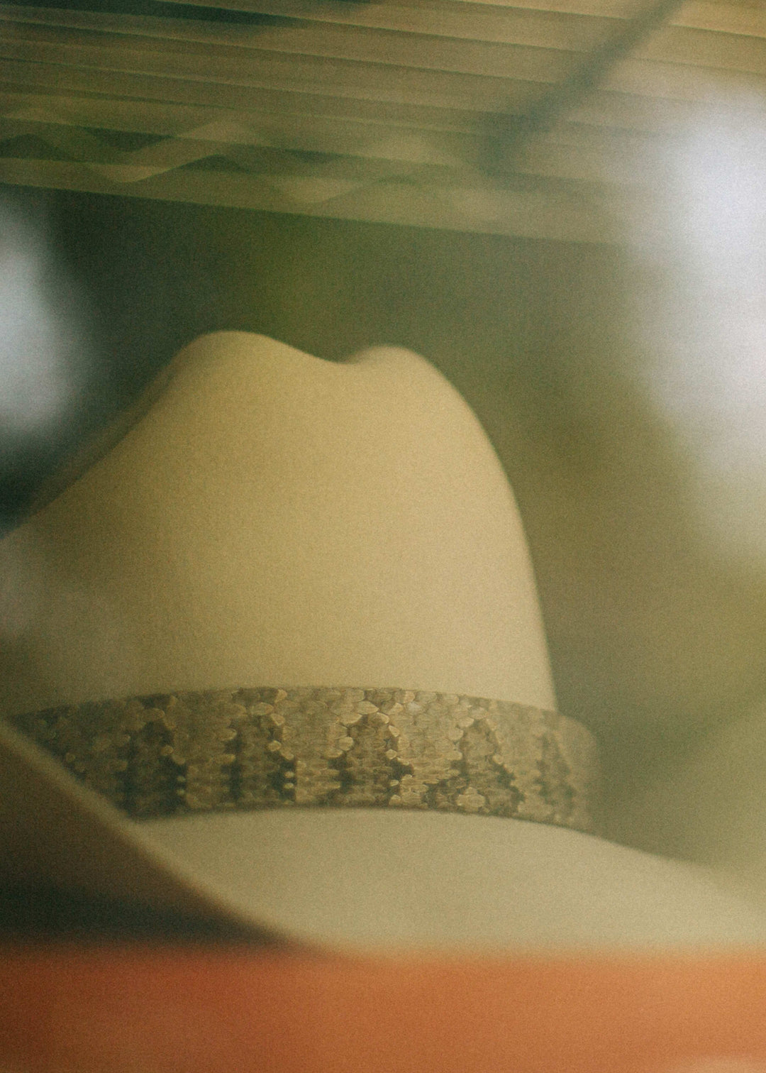 Rattlesnake Hatband on White Hat