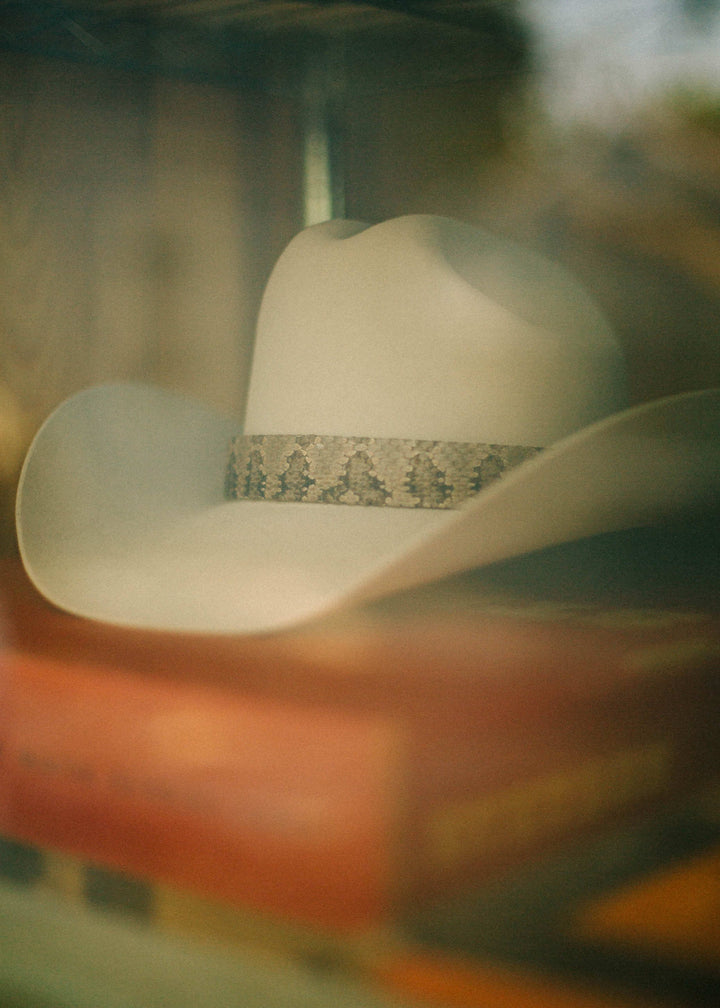 Rattlesnake Hatband on Hat